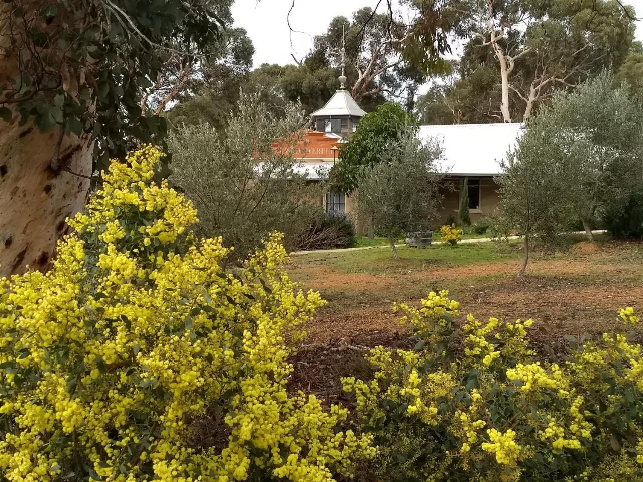 Wandering Hotham Ridge Apartment מראה חיצוני תמונה
